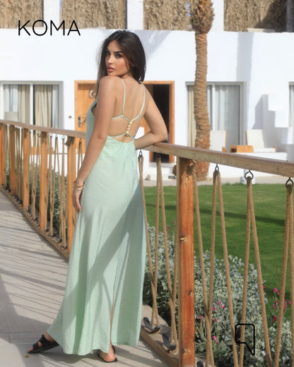 Noella Backless Maxi Dress - Baby Blue